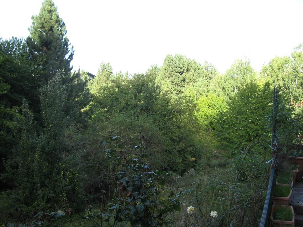 Apartament Le Tre Rose Montagna Camigliatello Silano Pokój zdjęcie